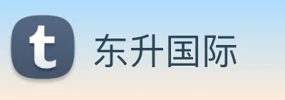 东升国际 logo